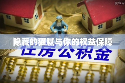 迁安市隐藏的猫腻与你的权益保障