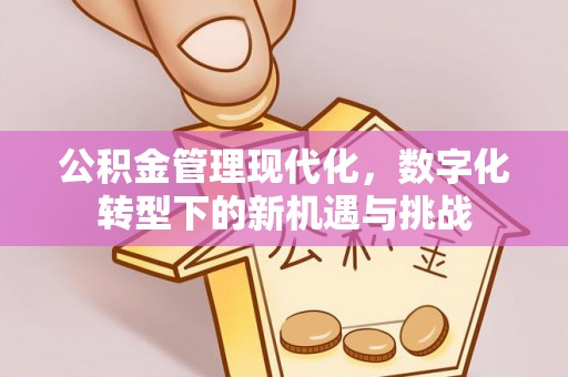 迁安市公积金管理现代化，数字化转型下的新机遇与挑战